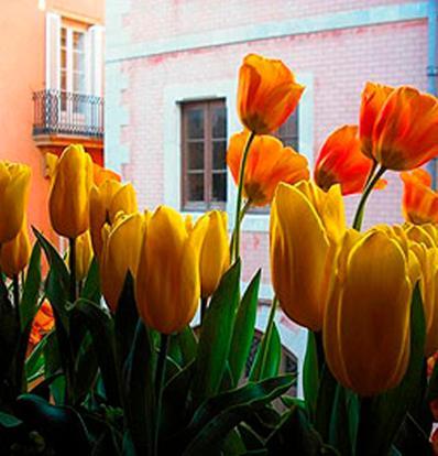 Boutique Hotel Davallada- Adults Only 시체스 외부 사진